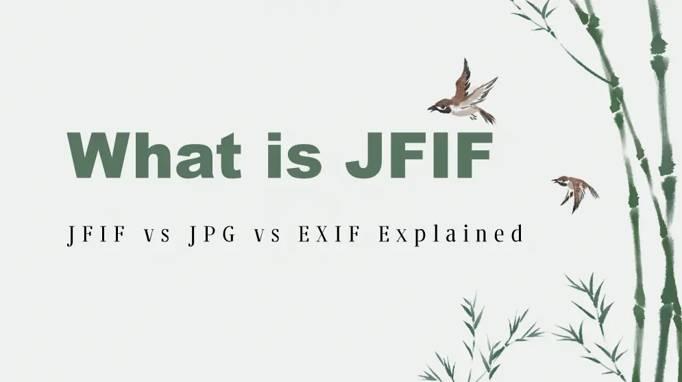 Stylized diagram for JFIF format fundamentals
